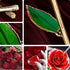 24K Gold Dipped Preserved Roses
